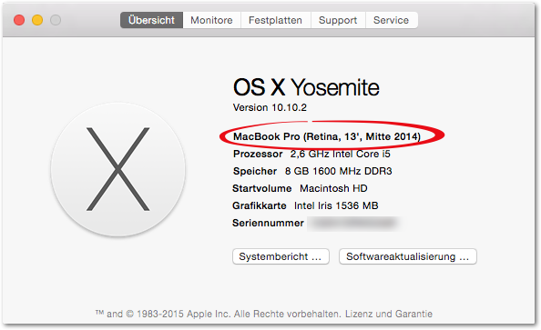 SSD für MacBook Pro - Über diesen Mac