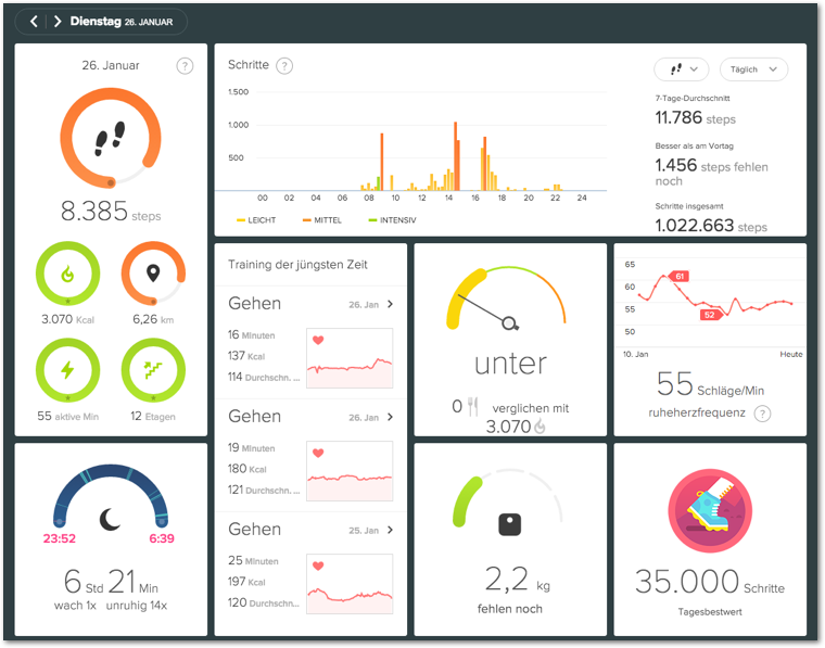 Fitbit Charge HR Test - Web Dashboard
